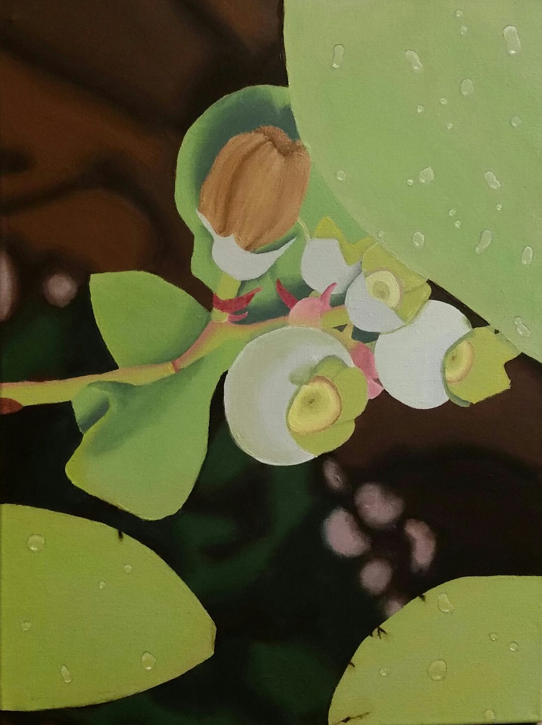 Paintings And Drawings